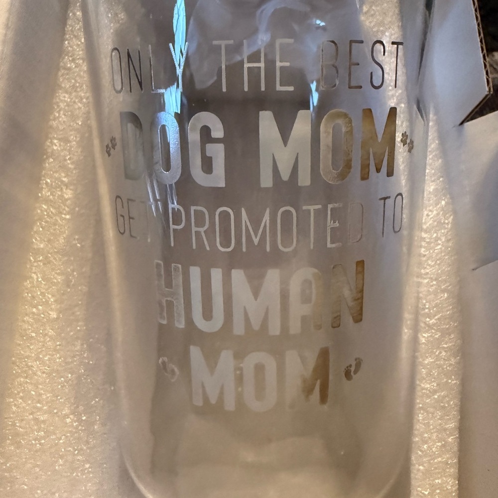 Stylish Glass Tumbler with‎ Bamboo Lid